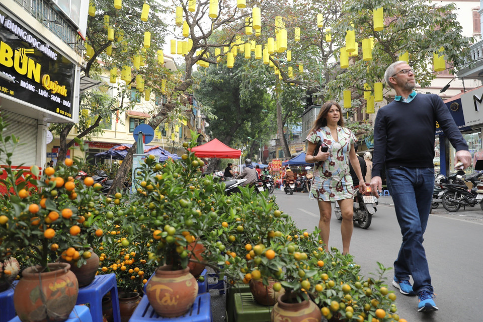  Le marché de Hang Luoc se prolonge jusqu’au 30e jour du 12e mois lunaire. À cette occasion, toute la rue est tel un tableau géant paré des couleurs vives des fleurs : kumquats, pêchers, violettes, roses, chrysanthèmes et glaïeuls. Photo: VNA