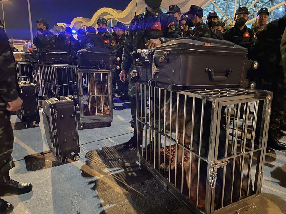  La mission de l’Armée populaire du Vietnam apporte en Turquie du matériel et des chiens spécialisés dans la recherche de personnes ensevelies. Photo: VNA 