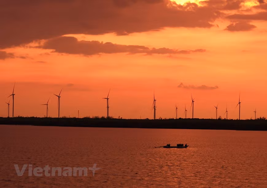  De loin, le champ éolien de Bac Lieu ressemble à un jardin avec des fleurs de moulins à vent blanches. Photo : Vietnamplus 