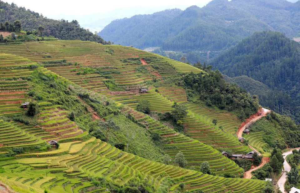  Crées par les mains des agriculteurs assidus, les champs en terrasses de Mu Cang Chai sont devenus une merveille, un site pittoresque national qui doit être préservé et développé. Photo : VNA