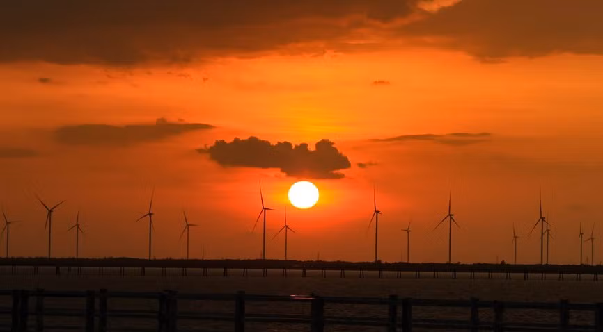  Le meilleur moment pour contempler le champ éolien est le matin ou l'après-midi. Photo : Vietnamplus 