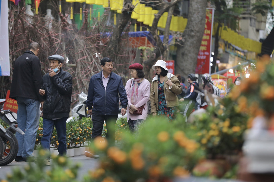  Cette année, le marché aux fleurs s’étend dans les rues de Hang Luoc, Hang Khoai, Hang Ruoi, Hang Ma et l’espace mural de la rue Phung Hung. Il constitue l’un des centres de commercialisation de plantes d’ornement les plus effervescents de Hanoï lors du Nouvel An lunaire. Photo: VNA