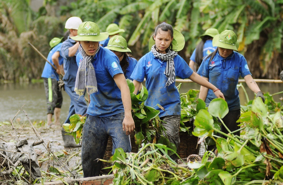  Des jeunes et étudiants volontaires ramassent des jacinthes d’eau afin d’évacuer le débit du canal Ong Tong dans l'arrondissement de Go Vap à Ho Chi Minh-Ville. Photo: VNA
