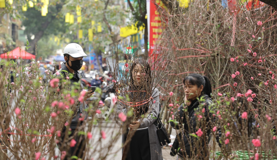  Ce marché est une tradition typique de la capitale. Pour de nombreux Hanoïens, sa visite n’est pas uniquement synonyme d’emplettes, c’est également l’occasion pour se replonger dans l’atmosphère des Têt d’antan. Photo: VNA