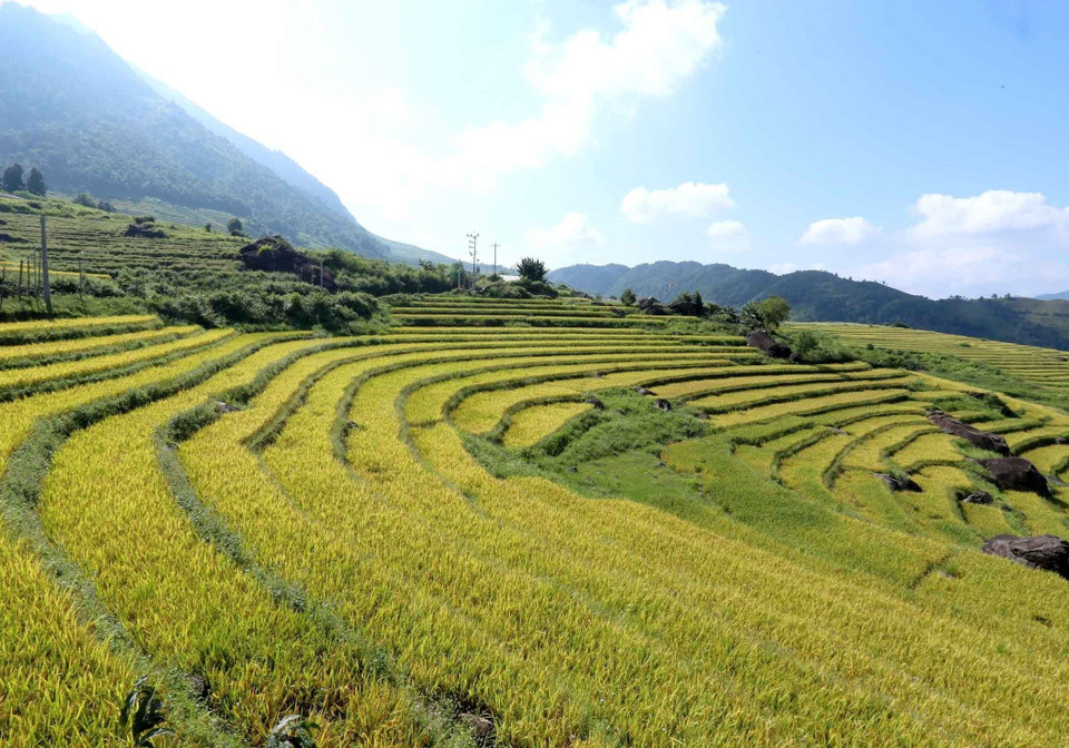 Rizières en terrasses au pied des montagnes. Photo : VNA