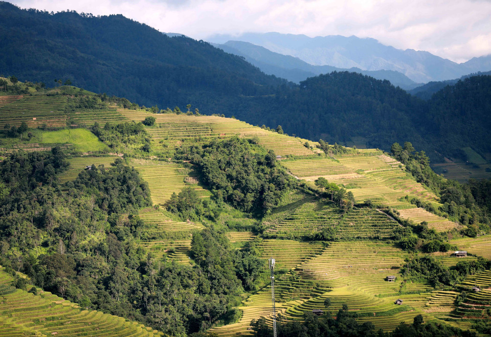  Les visiteurs peuvent observer de leurs propres yeux les champs en terrasses sans fin et d'une beauté poétique. Photo : VNA