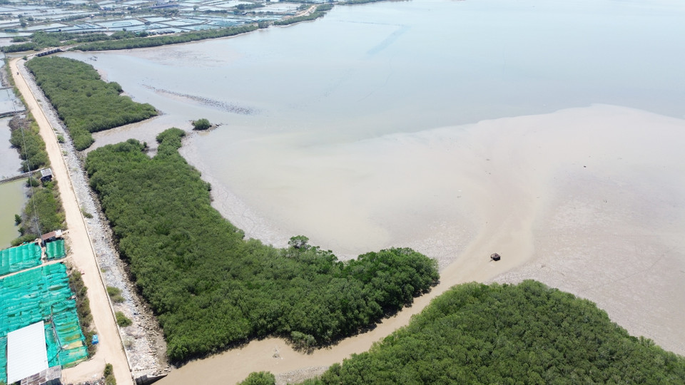  La lagune de Nai, située dans le district de Ninh Hai, dans la province de Ninh Thuan, a connu une renaissance grâce à des mangroves verdoyantes. Cette initiative a renforcé la résilience de la région face aux changements climatiques et permet de préserver la biodiversité. Photo : VNA