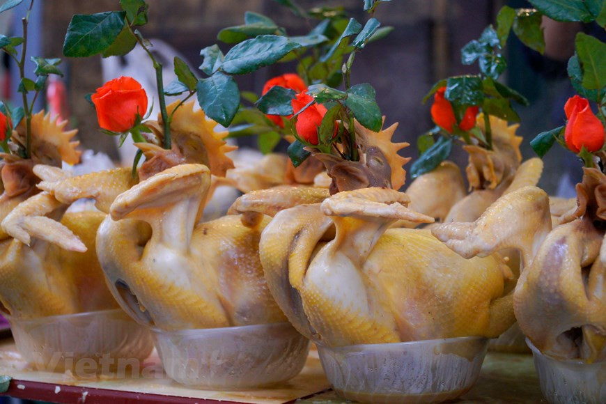 L’art de présentation du coq de culte existe depuis très longtemps. Très expérimenté, le septuagénaire révèle quelques «trucs» qu’il a accumulés au fil de temps. Quatre étapes doivent être suivies : choix du coq, abattage, création de la pose et cuisson à l’eau. Concernant l’abattage, tout le processus - saigner, plumer, vider - doit être exécuté par un homme expérimenté afin d’éviter des traces bleues sur la peau du coq. La création de la pose est le maillon décisif. Avec habileté, le créateur donne à l’oiseau la forme voulue, puis le fixe grâce à des ficelles et des baguettes de bambou. Photo: Vietnamplus