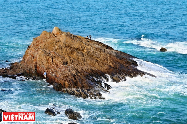 Selon les géologues, ces récifs naturels sont les plus anciens au Vietnam.