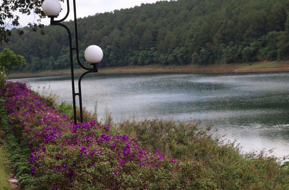 Chaque saison, Biên Hô offre de différentes choses intéressantes. En saison sèche, l’eau à sec laisse paraître la bande de terre basaltique fertile, où de nombreuses espèces d’oiseaux rares viennent chercher des proies. Photo: VNA