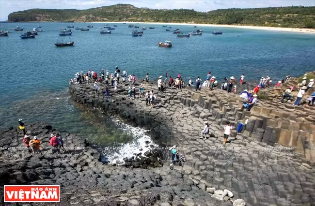 Délégués visitant Gành Da Dia, un site naturel célèbre de Tuy An (Phu Yên). 