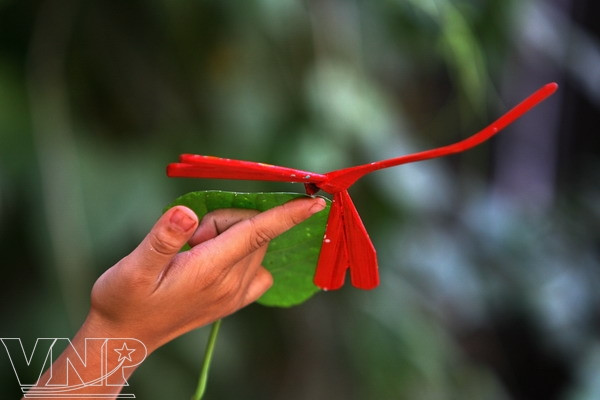 Une libellule rouge en bambou sur le bout du doigt. 