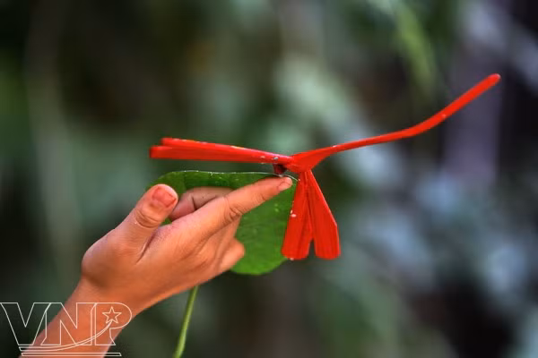 Une libellule rouge en bambou sur le bout du doigt. 