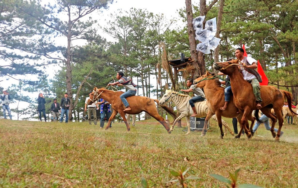 La finale est lancée.