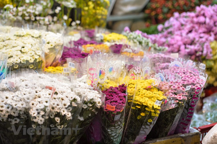 Pour les Hanoiens, Quang An est non seulement un grand marché de vente en gros de fleurs, mais aussi une beauté culturelle, une destination magnifique pour contempler des miliers de fleurs. il n’ouvre que la nuit, toute l’année. Ce marché est toujours très actif notamment à l’approche des fêtes. Il vous faut y aller pour sentir la beauté et l’attraction du marché de nuit de fleurs de Quang An. Il est pareil à un gigantesque jardin de fleurs, expose les fleurs de tout genre tels que: la rose, l’orchidée, le lys, l’œillet, le chrysanthème,… En ce moment, les pétales de fleurs trempés de rosée deviennent magnifique et fascinent les gens. Photo : VietnamPlus