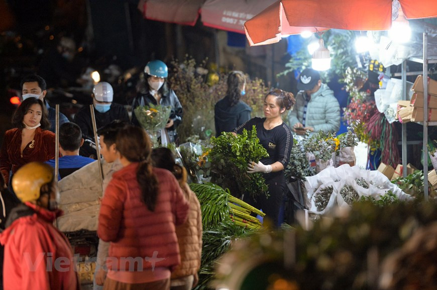 À l’approche des jours fériés comme le Têt traitionnel, le 8 mars, ce marché est animé du matin au soir y compris durant la nuit. Il attire non seulement les Hanoïens, mais aussi des commerçants venant des villles et provinces voisines comme Hai Phong Quang Ninh, Hung Yên... C’est un haut lieu de rencontre entre fleuristes, habitants et visiteurs. La plupart des vendeurs viennent des villages horticoles célèbres de la capitale comme Nghi Tàm, Nhât Tân, Tây Tuu… ou des districts limitrophes de Dông Anh et Soc Son, voire des provinces avoisinantes.Les acheteurs y choisissent souvent des fleurs aux couleurs chatoyantes qui orneront leur salon. Photo : VietnamPlus 