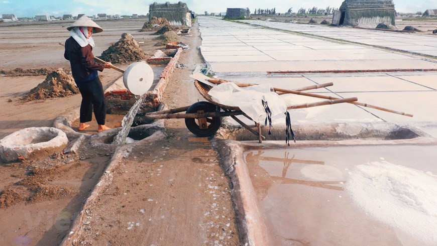  Chaque jour ensoleillé, une personne pourrait produire environ 20-25 kilos de sel, ce qui permettrait de donner un revenu de 50.000 dôngs/jour. Et c’est instable, car que faire durant les mois de pluies et de tempêtes. Les grains de sel sont brillants comme des cristaux de mer, mais ils portent une saveur aussi salée qu’est pénible le travail des personnes qui en produisent. Mai Van Hai, un saliculteur de 77 ans, domicilié dans le hameau de Xuân Ninh, commune de Bach Long, confie que ce métier dépend de la météo et que le prix est instable. Ainsi, les salaniers ont du mal à sortir de la pauvreté. Photo : VietnamPlus