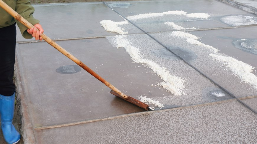 La commune de Bach Long était autrefois connu comme le plus grand grenier à sel du Nord, avec une superficie agricole totale de plus de 230 ha. Cependant, ces dernières années, le nombre de personnes quittant l'industrie du sel est en augmentation dans cette localité du district de Giao Thuy, province de Nam Dinh. Les jeunes travailleurs ne s'intéressent plus à ce métier traditionnel en raison de la précarité des revenus, ce qui rend difficile la subsistance de leur famille. Pendant ce temps, les politiques de soutien aux producteurs de sel ne sont pas vraiment efficaces. Les prix sont instables et il existe un déséquilibre entre l’offre et la demande. Photo : VietnamPlus