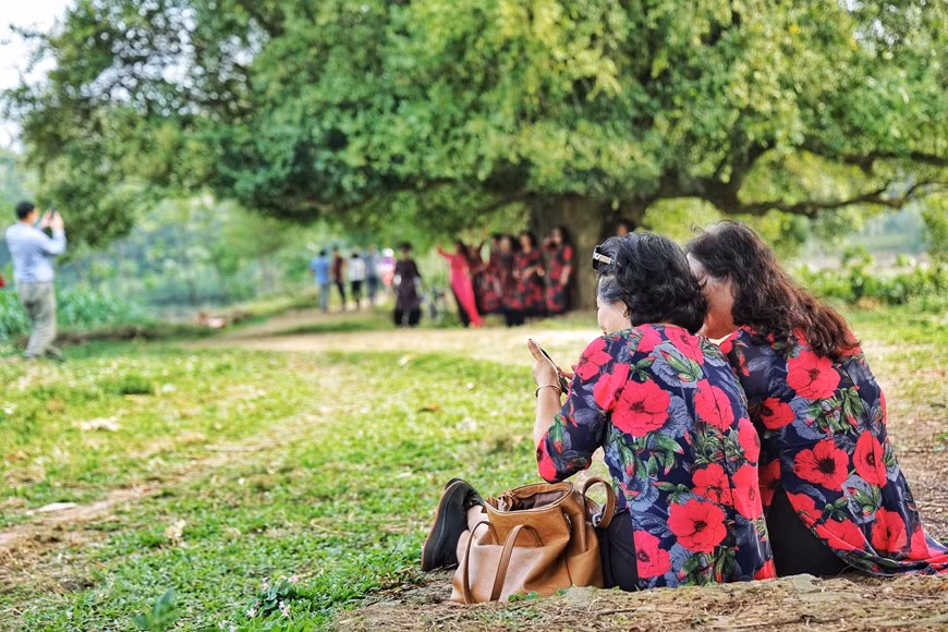 Bien qu'il soit difficile de prédire quand exactement la pandémie de COVID-19 sera contenue, les excursions d'une journée et les visites autonomes à Duong Lam sont devenues un choix populaire pour de nombreuses familles. La reconnaissance en tant que site du patrimoine national a fortement stimulé le tourisme local, attirant à la fois des visiteurs étrangers et nationaux. Le village attire en moyenne entre 120.000 et 130.000 visiteurs, dont jusqu'à 7.000 étrangers, chaque année. Dans le passé, comme il n'y avait pas beaucoup de possibilités d'hébergement pour la nuit dans le village, les visiteurs optaient souvent pour de courtes excursions d'une journée. Cependant, ces jours-ci, de nombreuses familles locales ont ouvert leurs portes aux visiteurs pour une expérience de séjour chez l'habitant. Photo: Vietnamplus