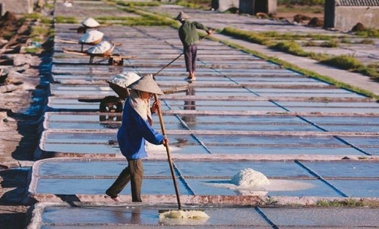  Située à 100 km de la capitale de Hanoï, Nam Dinh est l'une des provinces rizicoles importantes du pays. Nam Dinh, par sa situation côtière, est l’une des premières portes d’entrée du catholicisme au Nord Vietnam. Pays natal des rois Trân (XIIIe siècle) qui ont initié la « marche vers le Sud » de l’ancien Dai Viêt, Nam Dinh est aussi une terre de tradition bouddhique et confucéenne. À part la riziculture qui constitue sa principale source de revenu, Nam Dinh est connue par la saliculture. Le plus grand marais salant du Nord Vietnam, Bach Long ou le Dragon blanc, se trouve dans cette province. Photo : VietnamPlus