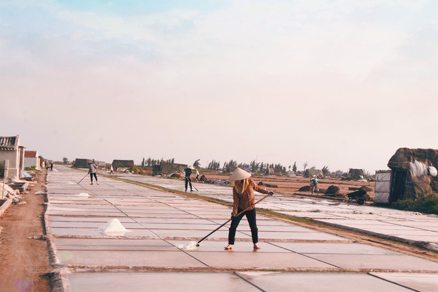 En ce qui concerne des orientations de développement pour la commune de Bach Long, plusieurs experts suggèrent que les marais salants de la localité peuvent devenir une attraction touristique. Actuellement, les modèles d'écotourisme et du tourisme communautaires se développent avec de belles promesses. Avec l'avantage d'un paysage naturel attrayant et unique, la commune de Bach Long attirera sûrement les touristes à visiter. En outre, les spécialistes proposent de replanifier les zones de production de sel. Outre la production de sel, la commune de Bach Long présente également des avantages en termes de conditions naturelles, d'écologie, de terres fertiles. Le littoral fait plus de 31 km de long avec des lagunes qui ont un grand potentiel pour le développement de l'aquaculture. Photo : VietnamPlus