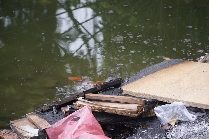 Les poissons rouges et les sacs en plastiques sont coincés dans la boue sale, causant la pollution des rivières et des lacs. Les autorités municipales ont demandé aux agences et aux unités doivent être plus drastiques pour limiter et réduire l'utilisation de produits en plastique à usage unique lors des réunions, conférences, séminaires et d'autres activités. Il faut encourager les habitants à abandonner l'utilisation des emballages plastiques pour passer aux produits respectueux de l'environnement. En même temps, la ville doit promouvoir des mesures, des plans, des programmes de recyclage, le tri des déchets à la source, la collecte des déchets plastiques dans la communauté. Photo : VietnamPlus