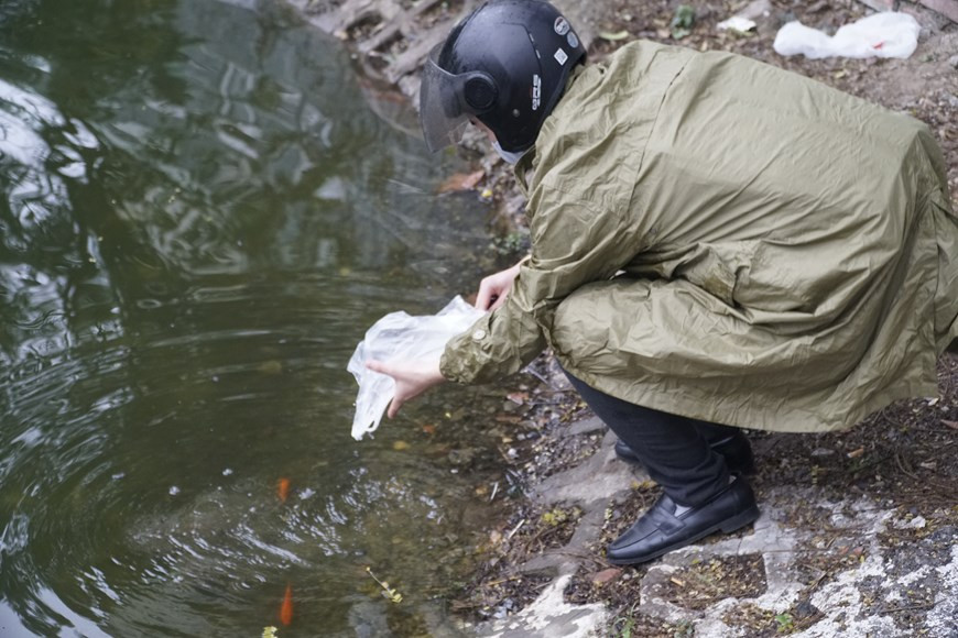 Un jeune hanoien relâche des carpes au lac de Truc Bach. Selon des Hanoiens, "Ông Táo" (Génie du Foyer) a le droit à moult offrandes. Il faut dire que la règle est simple et immuable: plus une famille est nombreuse, plus le plateau d'offrandes est abondant. Ce fameux "Ông Tao" est considéré comme un comptable, un surveillant ou un génie tutélaire, il part au ciel dans la nuit du 23e jour, pour faire un rapport sur la famille à l'Empereur de Jade. Autant dire qu'on a intérêt à bien se tenir et à présenter pattes blanches. C'est une fête très importante. Photo : VietnamPlus