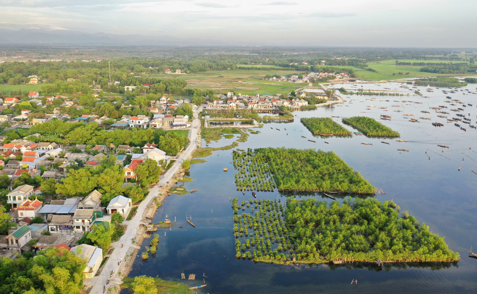 Depuis 1982, des activités en réponse à cette journée sont organisées chaque année, devenant un mouvement largement répandu dans tout le pays, contribuant à sensibiliser le public à la protection de l'environnement, de la biodiversité, des ressources en eau; au développement durable et au changement climatique. Ces mangroves de la lagune de Tam Giang, district de Quang Diên, province de Thua Thiên-Huê contribuent à réduire l'impact du changement climatique, à développer des moyens des subsistances pour les habitants locaux et l'écotourisme. Photo : VNA