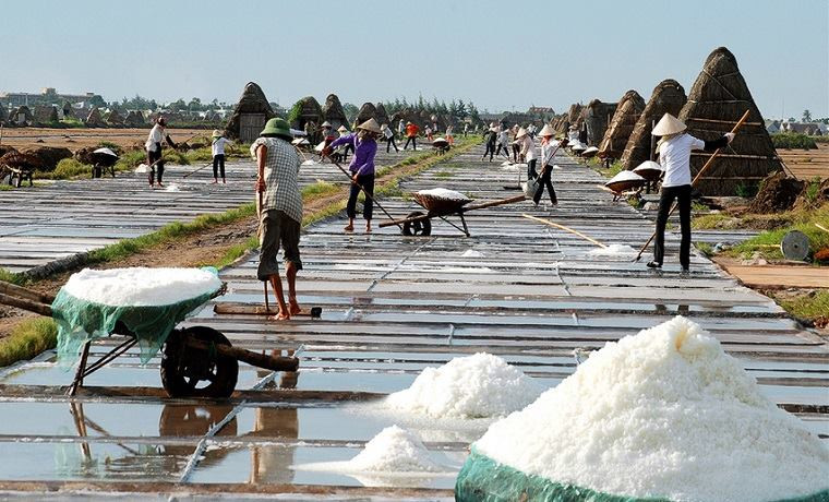 Des agriculteurs travaillent au marais salant de Bach Long, district de Giao Thuy, province de Nam Dinh (Nord). Le sel se produit dans toutes les régions côtières du Vietnam, du Nord au Sud. Mais, la salinité étant différente dans chaque région, les techniques de production des salaniers le sont également. Dans les provinces du Centre et celles du Sud du pays, comme l’eau de mer est plus salée, on pratique la méthode « sécher l’eau ». C’est à dire après avoir capturé de l’eau de mer dans les marais salants, on attend jusqu’à ce que l’eau s’évapore et que le sel se cristallise. Photo : VietnamPlus 