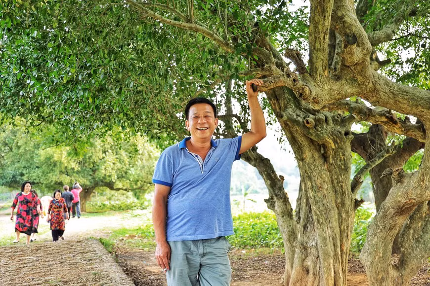 Grâce aux programmes mis en place par la localité, notamment dans le cadre du développement du tourisme et de la promotion des métiers traditionnels, le quotidien des habitants de l’ancien village de Duong Lâm a beaucoup changé. Situé sur la route reliant Hanoï à Lào Cai, le village de Duong Lâm, dans le chef-lieu de Son Tây, à Hanoï, est considéré comme un arrêt idéal pour les touristes nationaux et étrangers. Ils peuvent s’y reposer et s’imprégner de la culture vietnamienne présente. Un touriste venu de Hô Chi Minh-Ville a dit qu’il visitait pour la première fois la rangée de Streblus asper séculaires. Photo: VietnamPlus 