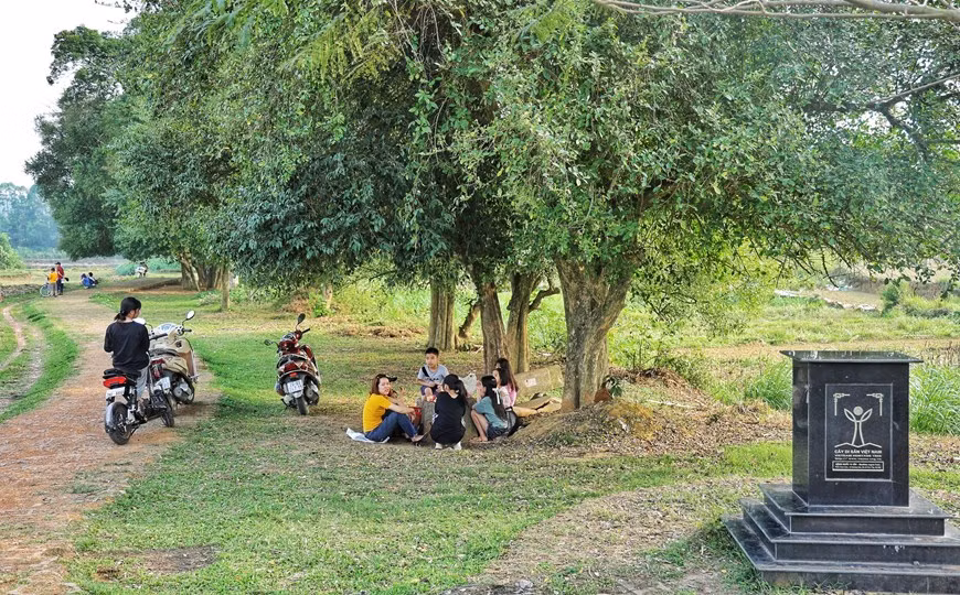 Les touristes aiment voyager à Duong Lâm. De tous les sites classés au patrimoine national que recèle le delta du fleuve Rouge, le village de Duong Lâm est l’un de ceux qui marquent les esprits, ne serait-ce qu’en vertu de son architecture et de son aspect d’image d’estampe. Il faut dire aussi que ses habitants s’emploient à protéger l’environnement, ce qui lui donne un charme supplémentaire. Duong Lam, réputé pour ses maisons uniques construites avec des cadres en bois et fortifiées en briques de latérite, conserve encore les caractéristiques typiques des vieux villages du delta du fleuve Rouge. Le transport fluvial favorable a fait de Duong Lam une résidence d'anciens Vietnamiens remontant aux civilisations de Phung Nguyen (2.000 – 1.500 av. J.C.) et de Dong Son (800 - 200 av. J.C.). Lors d'une fouille en 1971, des archéologues ont trouvé à Duong Lam des reliques en pierre de l'ère des rois Hung qui s'est terminée en 258 av. J.C. Photo: Vietnamplus
