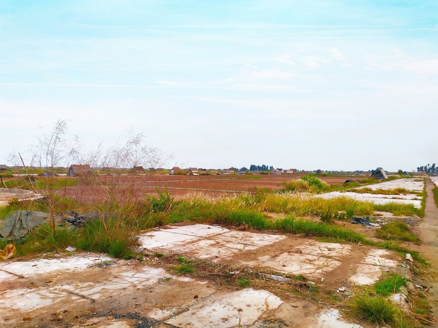 Depuis des générations à Bach Long au Vietnam, les ouvriers des marais salants se levaient avant l'aube pour récolter le sel, un travail difficile aux revenus fluctuants, touché de plein fouet par le dérèglement climatique. De nombreux habitants locaux ne font plus ce métier et ne s’y attachent plus, en raison du faible revenu. Ils viennent dans les zones urbaines pour trouver d’autres emplois et gagner leur vie. Un grand nombre de marais ont été abandonnés, envahis par l'herbe, les aires de séchage fissurées et dégradées. La superficie de production de sel à Bach Long a diminué et n’est actuellement que de près de 60 hectares, contre 230 hectares auparavant. Photo : VietnamPlus