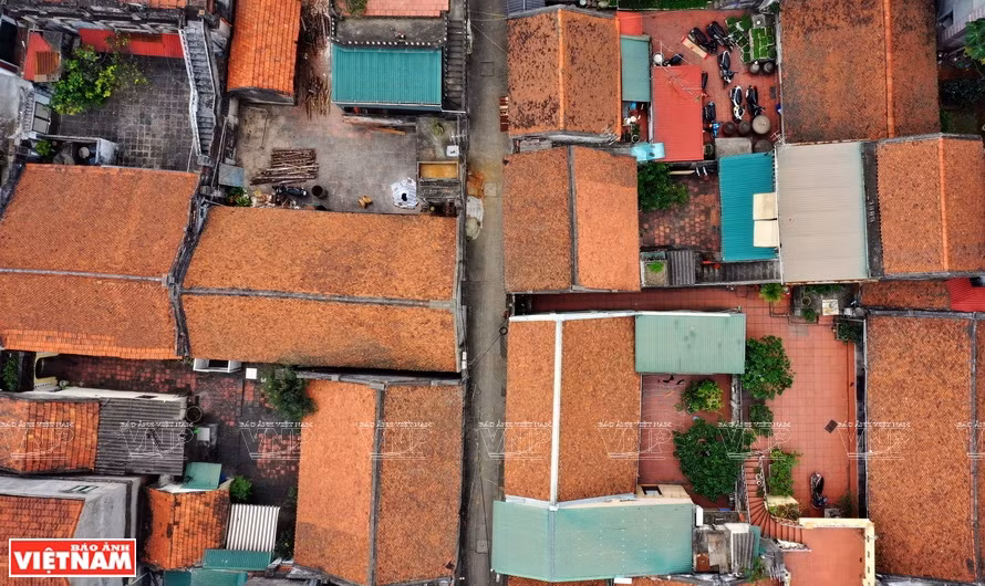 Comme de nombreux villages du delta du Fleuve Rouge, Cu Dà dispose toujours d’un banian (un arbre séculaire souvent placé au centre des villages traditionnels), d’un embarcadère, d’une maison commune et d’une porte d’entrée. On y aperçoit également des maisons campagnardes typiques, à trois ou cinq travées. Photo: VNP