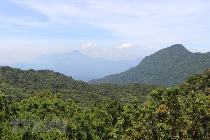 Paysages majestueux et sauvages du Parc national de Bach Ma.