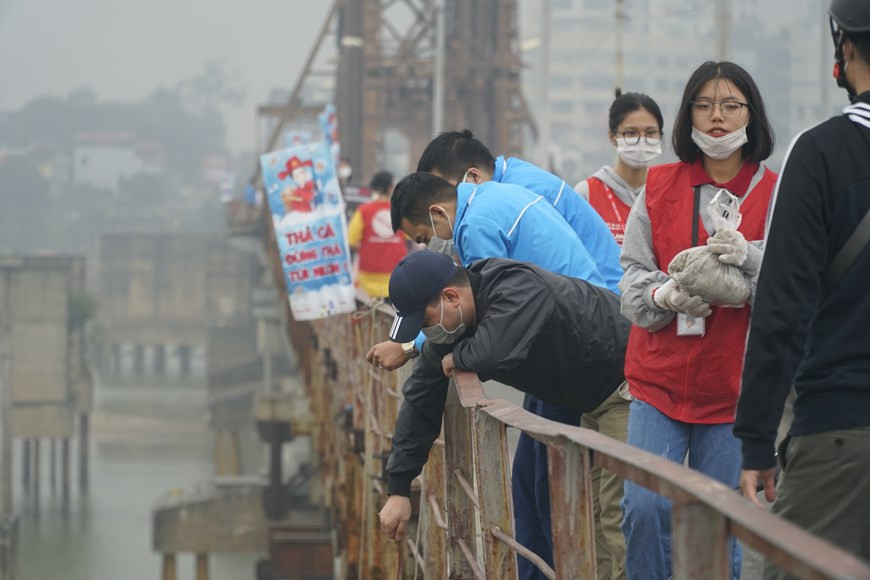 Après le culte, les vêtements en papier sont brûlés et les carpes sont libérées dans des étangs ou des rivières. Les Vietnamiens ont choisi la carpe car elle est, pour eux, le symbole de la richesse et de la prospérité. Selon la légende, les carpes se transforment en dragon lors du passage entre la Terre et le Ciel. Le dragon est celui qui fait appel à la pluie pour apporter une récolte abondante aux agriculteurs. Un grand nombre de Hanoiens est venu relâcher les carpes dans les étangs, les lacs et le fleuve Rouge. Au pont de Long Biên, de jeunes volontaires aident les habitants à libérer les carpes en toute sécurité. Photo: VietnamPlus 