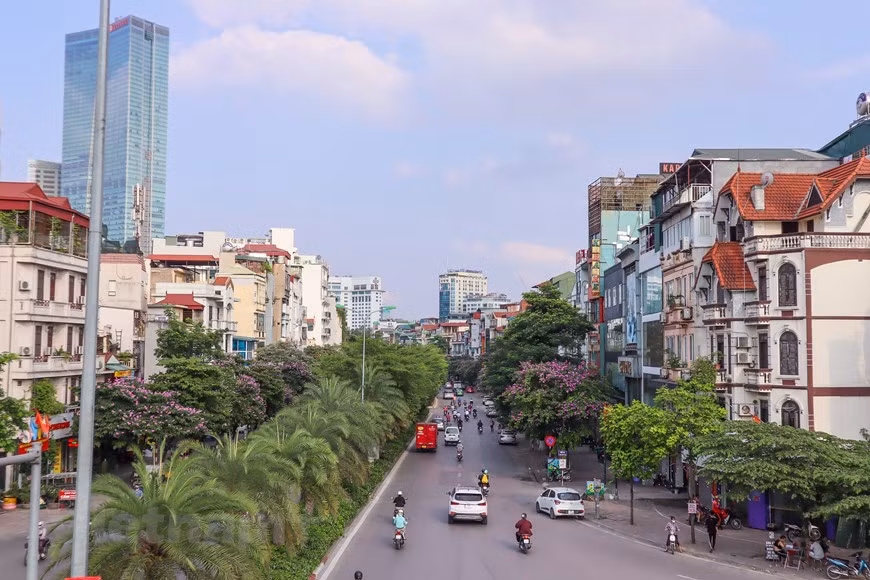 La fleur de Lagerstroemia en provenance de l'Inde avec la couleur violette, claire…est plantée dans les rues de Dao Tân, Trân Thai Tông, Kim Ma, Dinh Nup… Les pétales finement minces vantent le parfum sous le soleil d'été crée une beauté très séduisante à Hanoi. La fleur de Lagerstroemia fleurit rapidement, mais est aussi éphémère. Après quelques pluies de l’été, les pétales sont fanés tout de suite. Ainsi, lors des premiers jours de l'été, lorsque les pétales gardent la beauté intacte, on doit se promener sous les arbres comme un moyen de garder les moments impressionnants de l’été violet de Hanoi. Photo : VietnamPlus