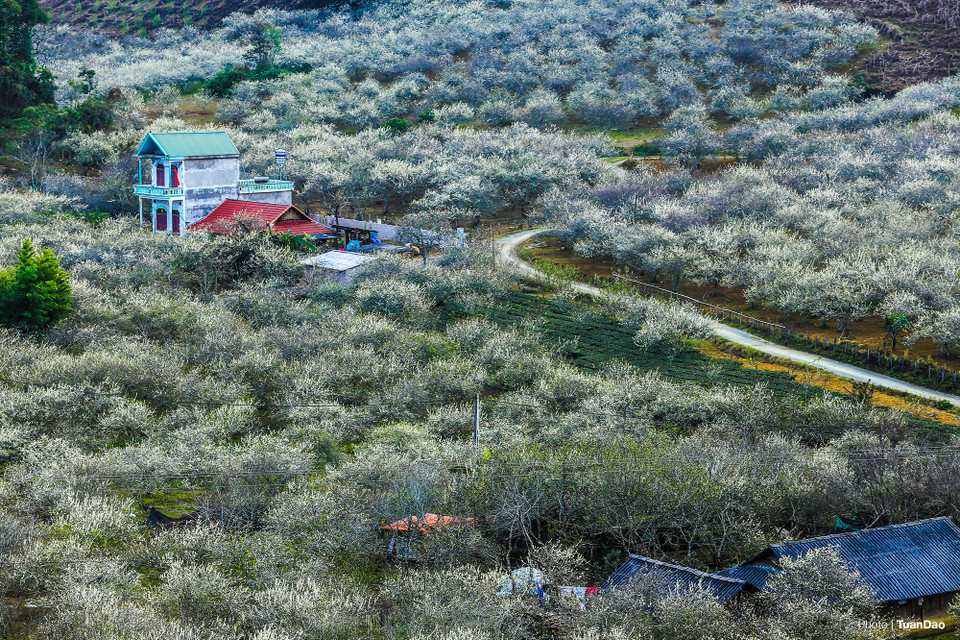 Situé sur le nord- ouest, il est célèbre pour ses paysages magnifiques, ses beaux villages au bord de la route, ses saisons de tournesols sauvages, de fleurs d’abricot, de pêchers, de pruniers... 