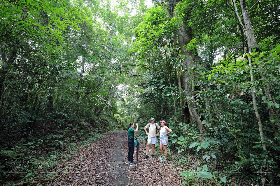 Une guide informe des touristes de la richesse du parc. Photo: VNA