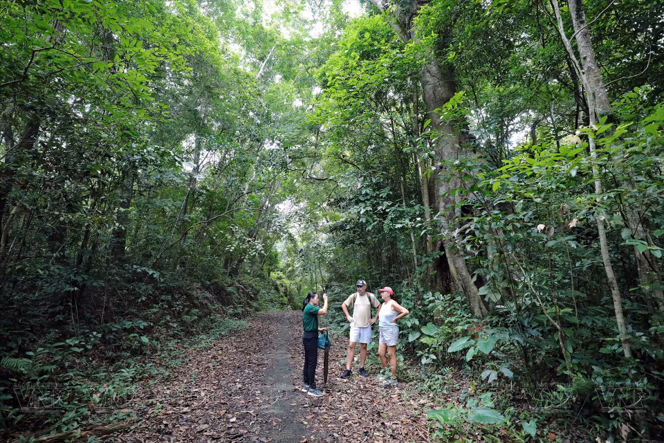 Une guide informe des touristes de la richesse du parc. Photo: VNA