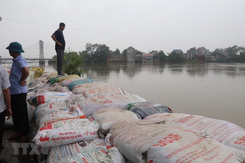 Les digues dans le district de Chuong My sont renforcés par les sacs de sable