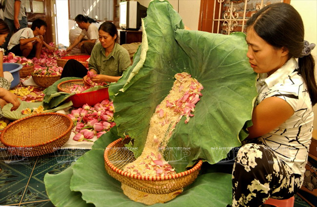 Le thé est enveloppé dans des feuilles de lotus mélangé avec des étamines de lotus pour préserver sa saveur.