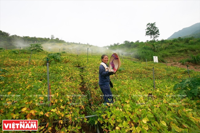 La ferme Hoa Viên garantie à son personnel un environnement de travail sans substances chimiques.