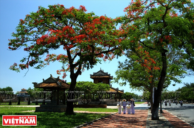 Beauté de l’ancienne capitale Huê, Vietnam. 