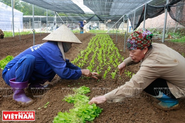 Les travaux sont réalisés à la main.