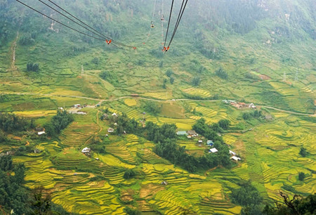 A 10 kilomètres au sud-est de Sapa, dans le Nord-Ouest, la vallée de Muong Hoa abrite les plus belles rizières en terrasse de cette petite station touristique. Sur les flancs en pente douce de la vallée, ces rizières constituent une véritable œuvre d’art.