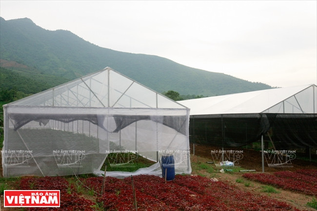 Se​rre destinée aux légumes exigeant​ des conditions climatiques spéciales.