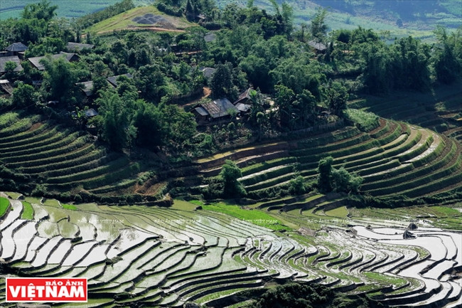 Rizières en terrasses d'Y Ty entourant les hameaux.