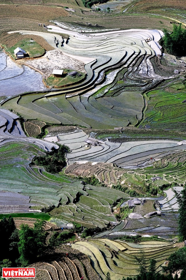 Rizières en terrasses d'A Lù. 