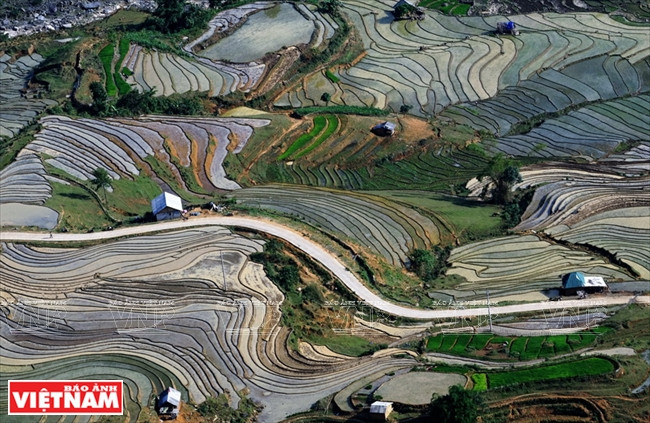Des rizières en terrasses dans la vallée de Thiên Sinh à la saison des pluies.
