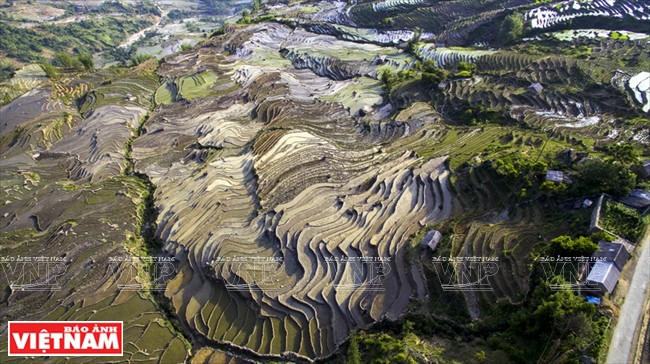 Rizières en terrasses d'Y Ty à la saison des pluies. 
